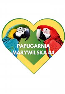 Carmen Agnieszka Krawczyk / Papugarnia Marywilska 2024